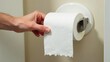 © Helga P-A. - A hand pulls a sheet of toilet paper from a roll on a wall-mounted dispenser. Concept of personal hygiene.