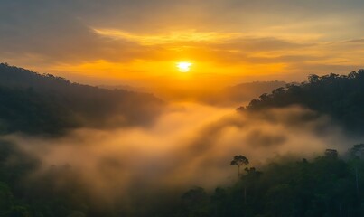 Aufkleber - ahmadwahyuutomo776@gmail.com A breathtaking golden sunrise illuminating a foggy tropical landscape.