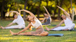 © JackF - People group in park practicing yoga outdoor. Active pastime together, performing gymnastic exercise. Yoga lesson visitors and coach do Janu Shirshasana. People practice sports during yoga in nature