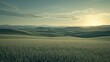 © NAIMAH - Sunset over rolling green hills, wheat field foreground, mountain background, nature scene