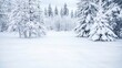 © Oat_Photo - Snowy Winter Wonderland  Frosty Trees  Pristine Snow  Winter Forest Scene