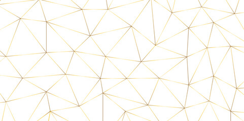 Leinwandbilder - Abstract geometric background with connecting dots and lines with low poly triangle shapes. Polygonal Mesh Background Vector design digital technology concept Global network connection data structure.