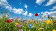 © Natchooda - A stunning spring scene with a meadow of colorful wildflowers under a bright blue sky, showcasing the beauty and vibrancy of nature in full bloom