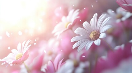 Wall Mural - Daisy Field: A serene cluster of daisies and pink flowers with bright light , perfect for conveying spring's vibrancy and natural beauty.