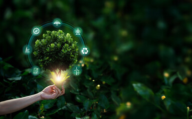 .hand holding a green tree with icons of energy sources for renewable, sustainable developmen, savin
