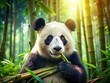 © Four888 - Adorable Giant Panda Enjoying Bamboo in Lush Forest