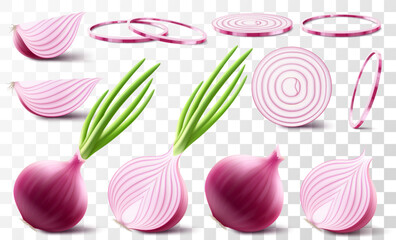 Wall Mural - whole, half and slices of fresh onion. set of ripe red onion with green feather isolated on transpar