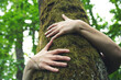© erika8213 - Nature lover hugging trunk tree - nature loving, fight global warming.