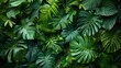 © creative mind - Vibrant Green Monsters Leaf Wall  Tropical Jungle Botanical Foliage Background