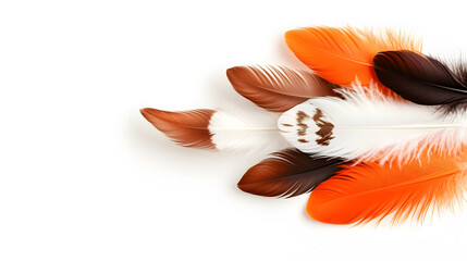 Fototapete - Colorful feathers in shades of orange, brown, and white, arranged artfully against a white background, showcasing their natural beauty and texture