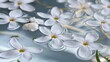 © Ekaterina - Floating Jasmine Blooms