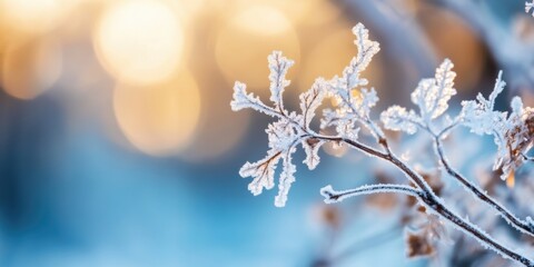 Poster - Ethereal Winter Wonderland Delicate Frost-Kissed Botanical Macro for Serene Holiday Branding and Mindful Seasonal Content Design