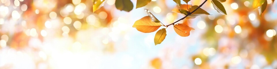 Aufkleber - Luminous Autumn Bokeh Soft Golden Leaf Macro for Wellness Branding, Mindful Nature Aesthetic and Seasonal Tranquility Inspiration