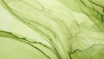 Aufkleber - soft green marble texture with fluid abstract pattern, natural stone effect, organic aesthetic for background and branding

