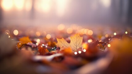 Wall Mural - Photos of fallen leaves in warm autumn colors. Background colors in pastel tones with a bokeh effect. The background is slightly blurred and there is room for text.