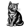© Pawellpi Design - Illustration of a sitting cat with detailed engraving style in black and white
