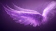 © Kateryna Kordubailo - Purple Sparkle Angel Wings Message Board – a pair of angel wings on the left side, accompanied by a swoosh of wavy lines and sparkles, set against a purple background with space for text