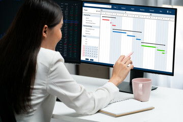 project planning software for brisk business project management on the computer screen showing timel