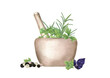 © Masha_tolk_art - Watercolor stone mortar with pestle and seasoning, herbs, spice for making food illustration isolated on white. Fresh rosemary, parsley, oregano sprigs in granite bowl and black, white peppercorn.