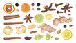 © Masha_tolk_art - Mix of seasoning, spices and dried fruit slices set watercolor illustration. Cinnamon, cardamon, star anise, clove, peppercorn, raisin, ginger, orange, lime, lemon and apple clip art. For decor