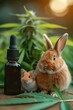 © Anna - Cbd day celebration with rabbit and mouse in nature ,National Pet CBD Day