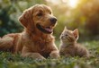 © Brera Design - A joyful golden retriever and a curious kitten sit together in a sunlit garden, embodying friendship and playfulness in a serene natural setting.