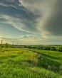 © Sergei - Field of grass with a cloudy sky in the background