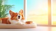 © studio clever - Corgi Resting in a Cozy Pet-Friendly Room with Sunset View. Generative AI