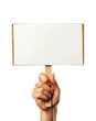 © Vlad - Protest sign display rally. Isolated on transparent background, png.