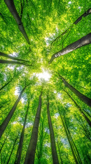 Aufkleber - Sunlight streaming through verdant forest canopy, casting soft, dappled light across lush woodland landscape