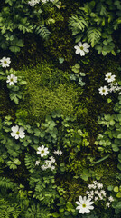 Poster - White flowers growing on a vertical surface covered by green moss, fern and clover creating a natural background
