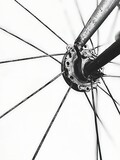 Close-up bike wheel spokes in black and white
