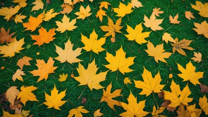 Wall Mural - vibrant yellow autumn leaves scattered on a lush green meadow creating a picturesque seasonal scener