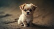 © AImmersive Imagery - Adorable puppy sitting on the ground with a lovely expression