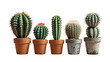 © Yasir - Cactus plants in pots on black background png set