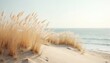 © miss irine - Beige pampas grass on sand dune at sea beach with horizon line. Coastal nature background with sky, sea, sand, reed plumes. Soft sunny light seaside landscape. Tranquil scene at waterside with copy