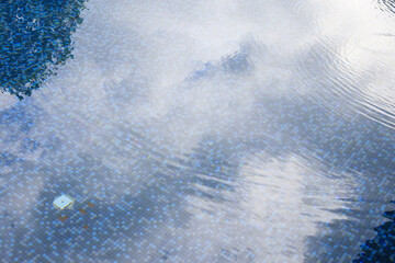 Wall Mural - swimming pool water surface and ripple wave with blue mosaic tiles