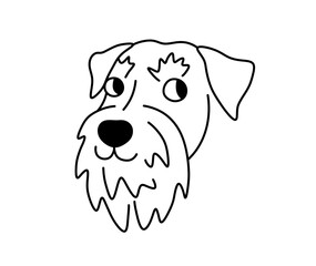 Wall Mural - vector isolated schnauzer dog breed head portrait colorless black and white contour line easy drawin