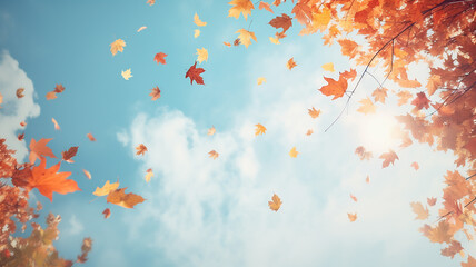 Wall Mural - autumn frame of dry falling yellow leaves against a blue sky with white clouds, an empty blank with 
