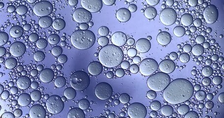 Wall Mural - slow motion macro of floating micro particles molecules in liquid are analyzed with microscope by ch
