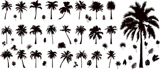 Wall Mural - set of palm trees, palm leaves black silhouettes, vector