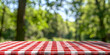 © Duka Mer - A red and white checkered tablecloth covers an outdoor picnic table, set against a blurred background of green trees in the park.