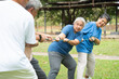 © Prot - Four cheerful seniors in a friendly tug of war on a vibrant green lawn showcasing their vitality, camaraderie, and Active Seniors lifestyle, enjoying an active and playful moment in a park setting.