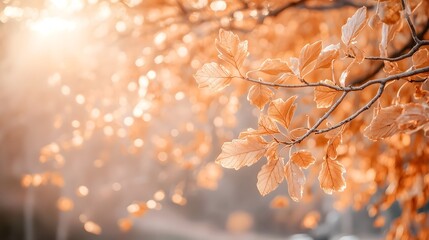 Aufkleber - Magical autumn landscape with beams of sunlight breaking through the majestic trees highlighting the vibrant hues of the season as leaves gently descend in a golden cascade
