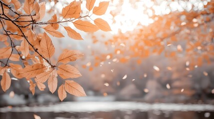 Aufkleber - Magical autumn landscape with majestic trees and vibrant leaves where beams of sunlight break through to highlight the golden cascade as the foliage gently descends