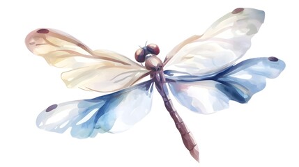 Poster - A breathtaking watercolor dragonfly artwork showcasing its delicate wings with intricate details painted in a vibrant spectrum of colors floating gracefully against a plain backdrop