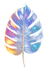 Wall Mural - png colorful tropical leaf shape light glitter nature colors night.