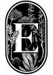 © Sophie Rivière - vegetal letter E