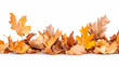 © NUR - Golden autumn leaves border; white background; perfect for fall designs