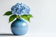 © stockphoto02 - A single blue hydrangea blossom in a light blue ceramic vase against a white background.